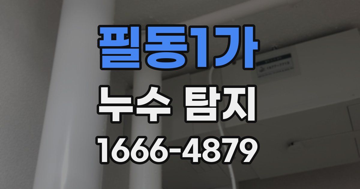 필동1가 누수 탐지