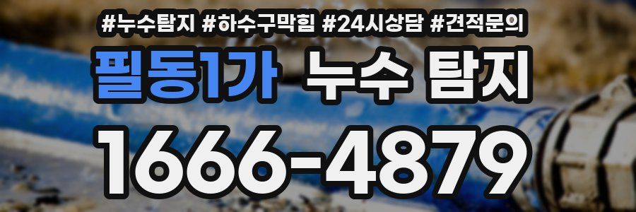 필동1가 누수 탐지