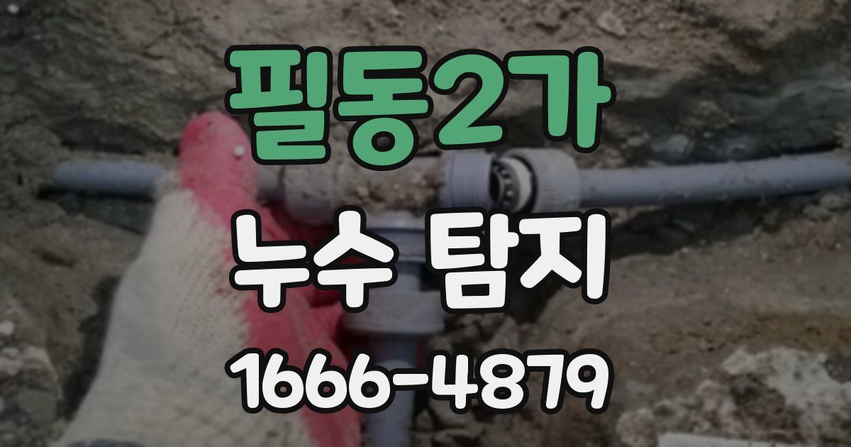필동2가 누수 탐지