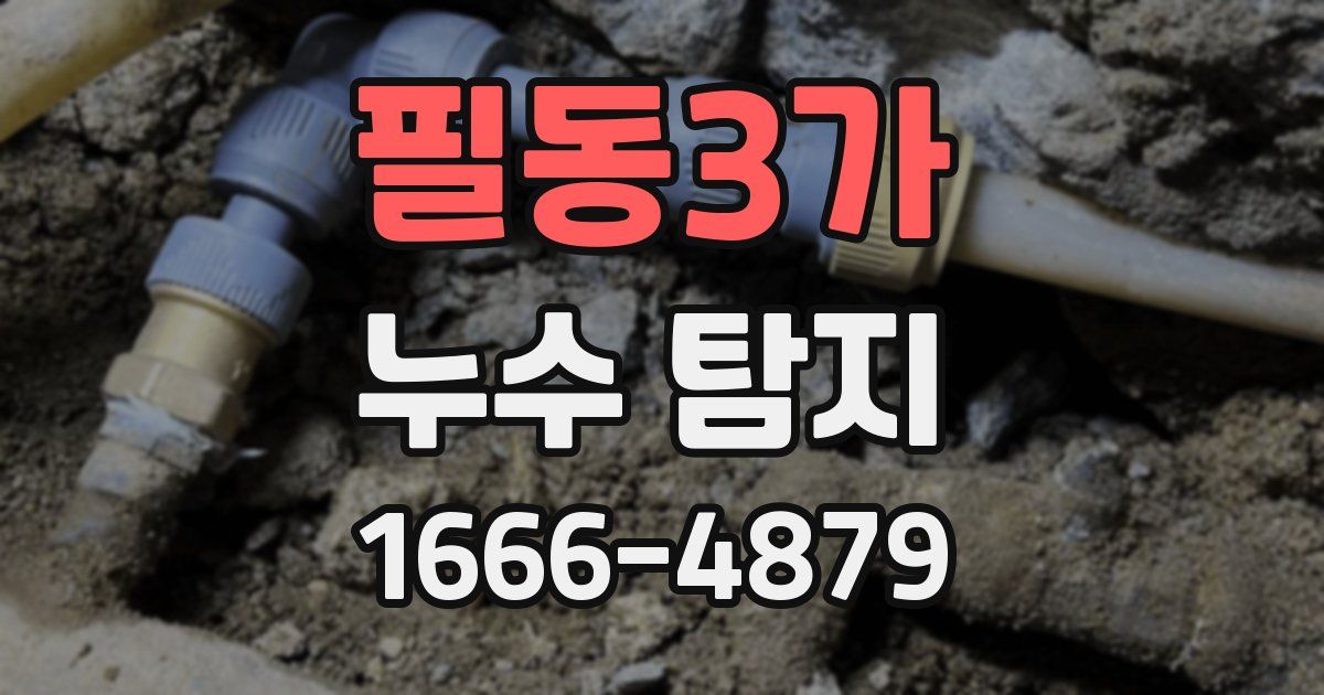 필동3가 누수 탐지