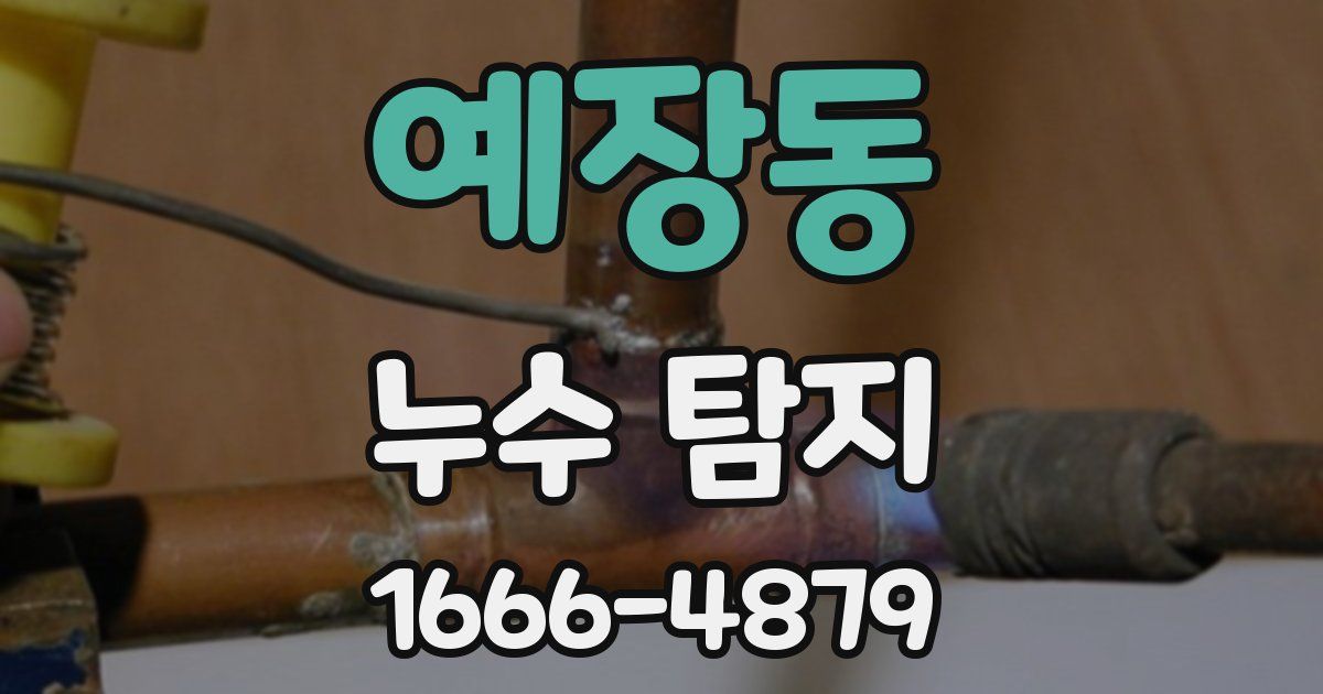 예장동 누수 탐지