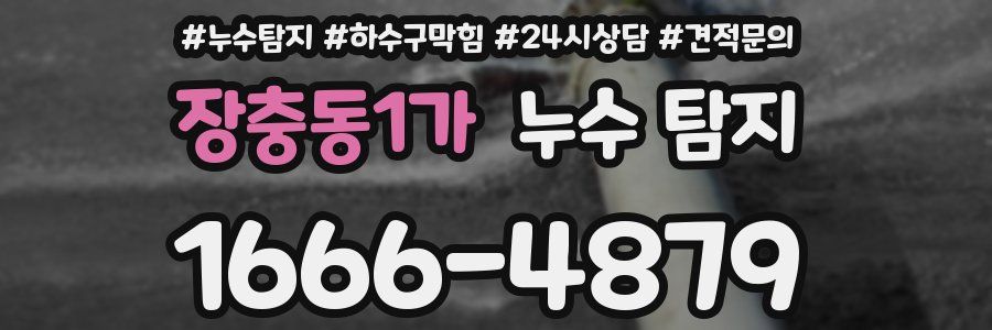 장충동1가 누수 탐지