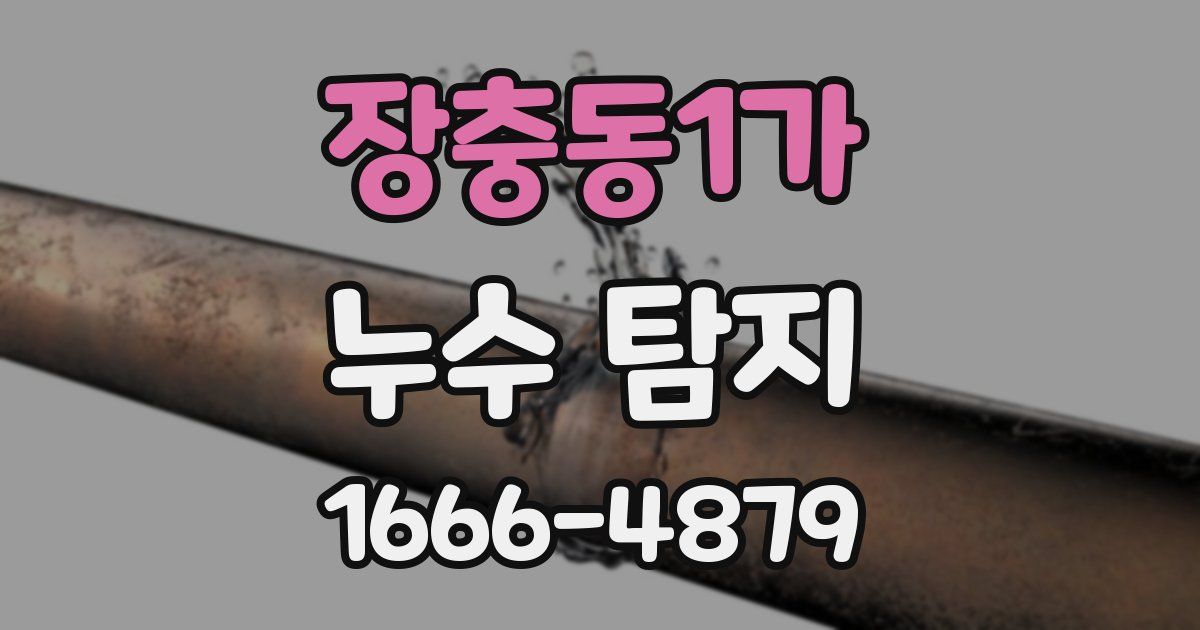 장충동1가 누수 탐지