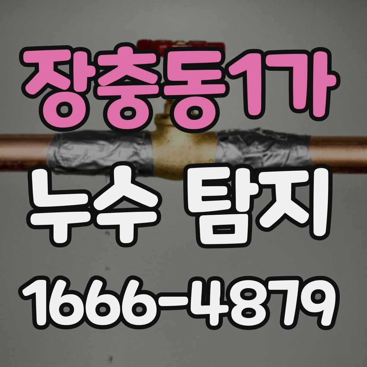 장충동1가 누수 탐지