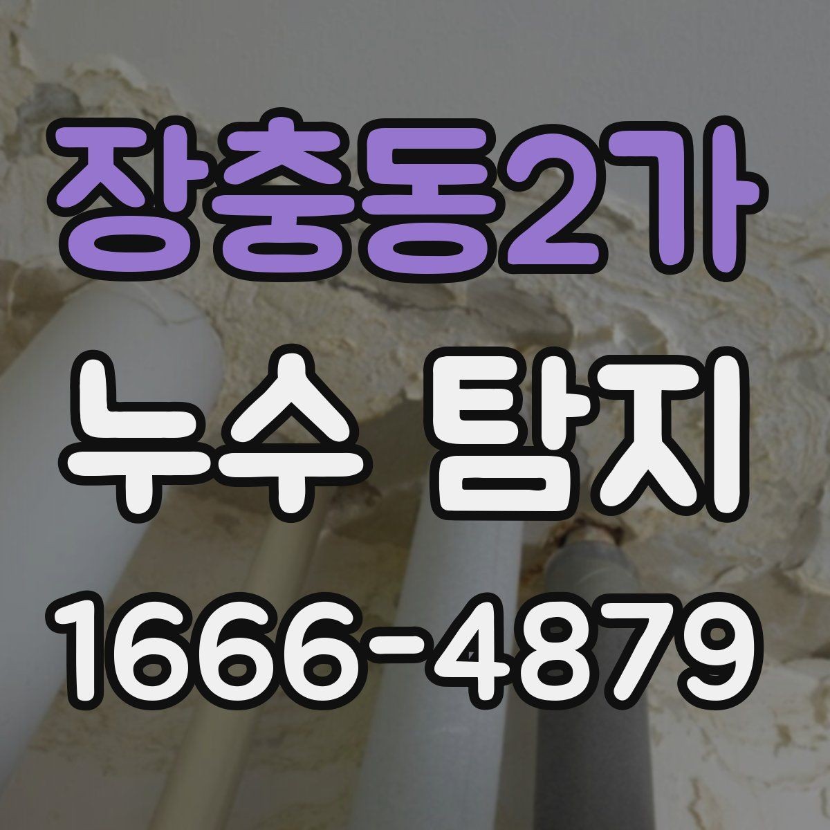 장충동2가 누수 탐지 후 보수 범위를 정하는 기준