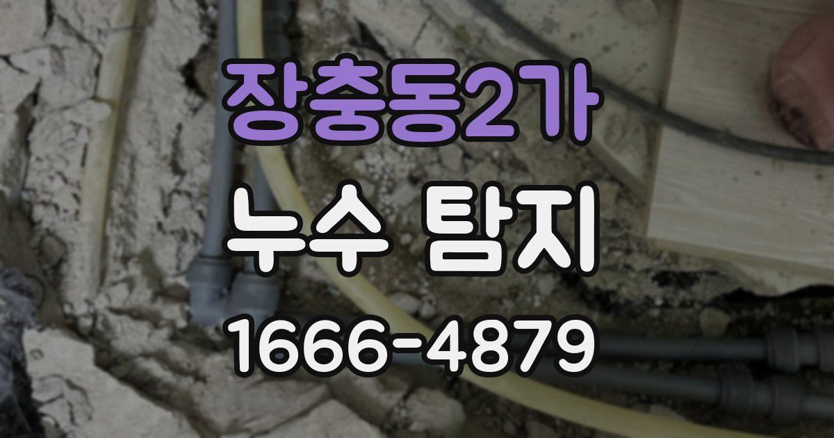 장충동2가 누수 탐지