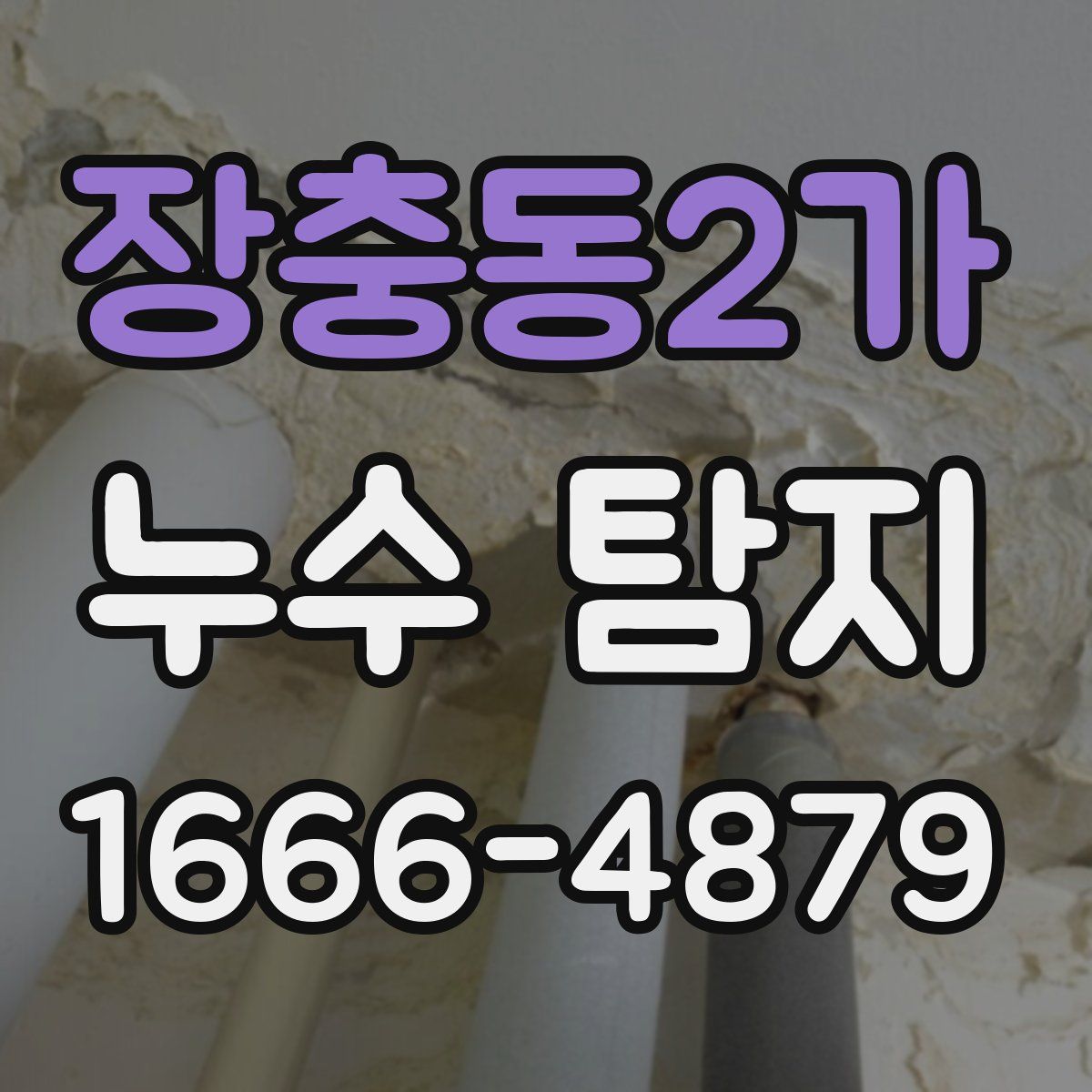 장충동2가 누수 탐지