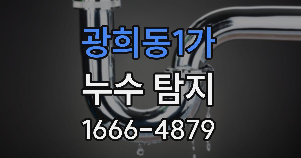 광희동1가 누수 탐지
