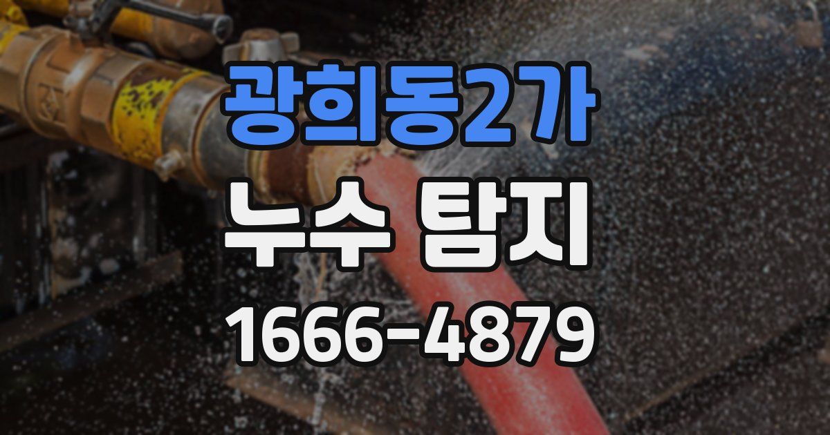 광희동2가 누수 탐지