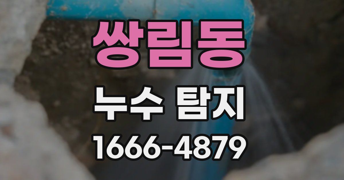 쌍림동 누수 탐지