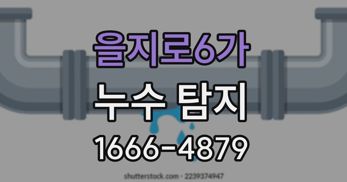 을지로6가 누수 탐지