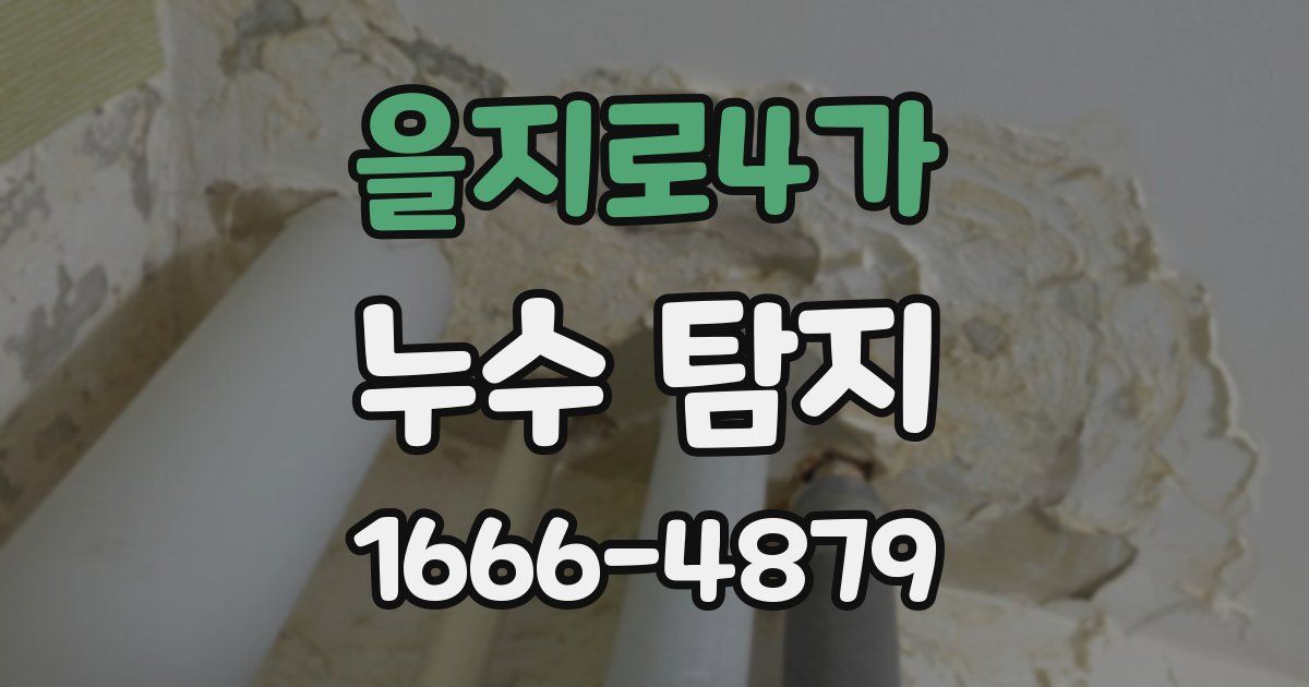 을지로4가 누수 탐지