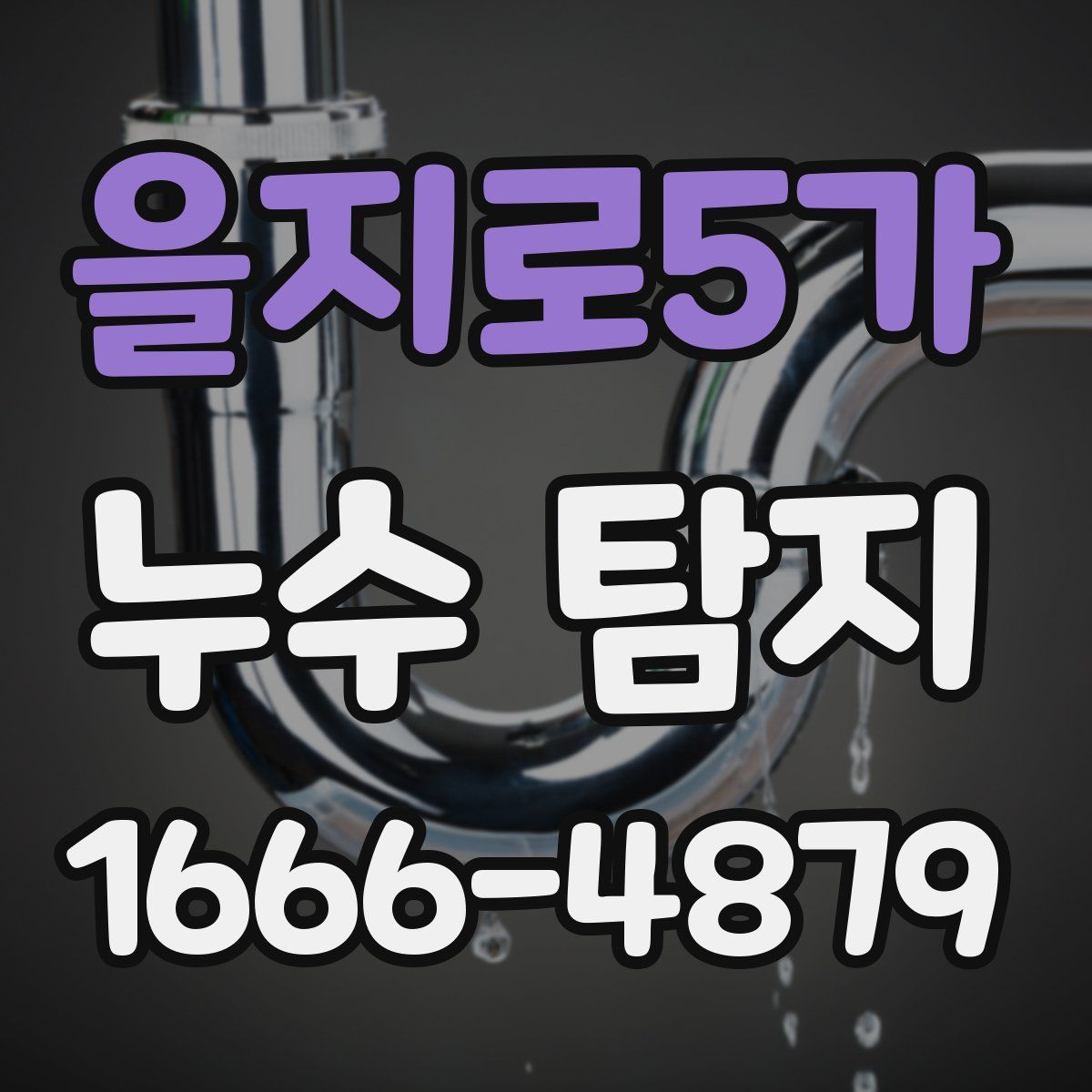 을지로5가 누수 탐지