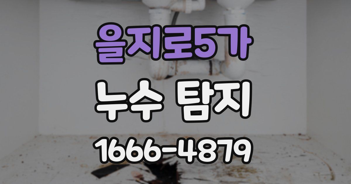 을지로5가 누수 탐지