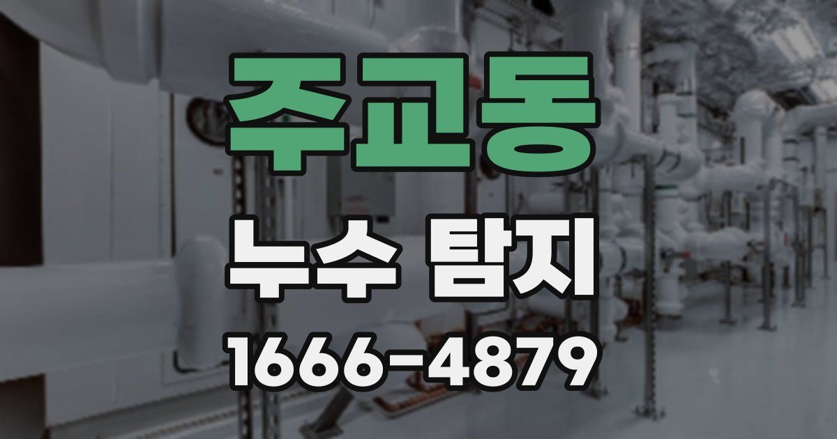 주교동 누수 탐지