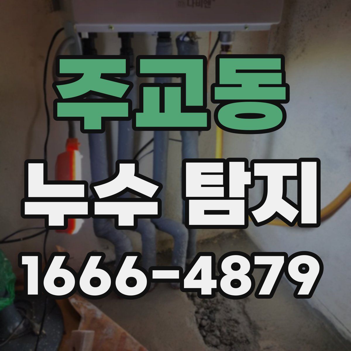 주교동 누수 탐지