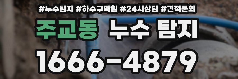 주교동 누수 탐지