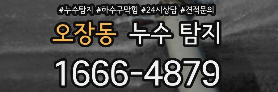 오장동 누수 탐지