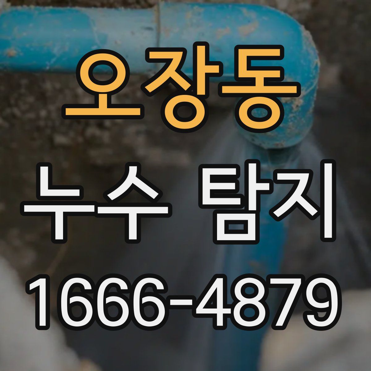 오장동 누수 탐지