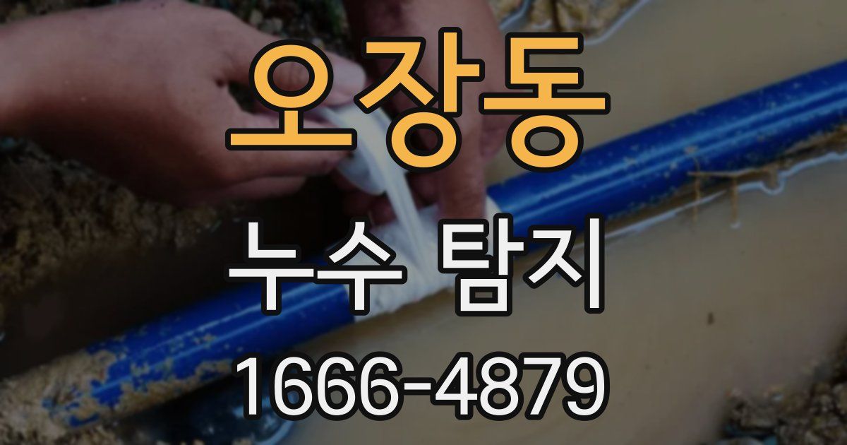 오장동 누수 탐지