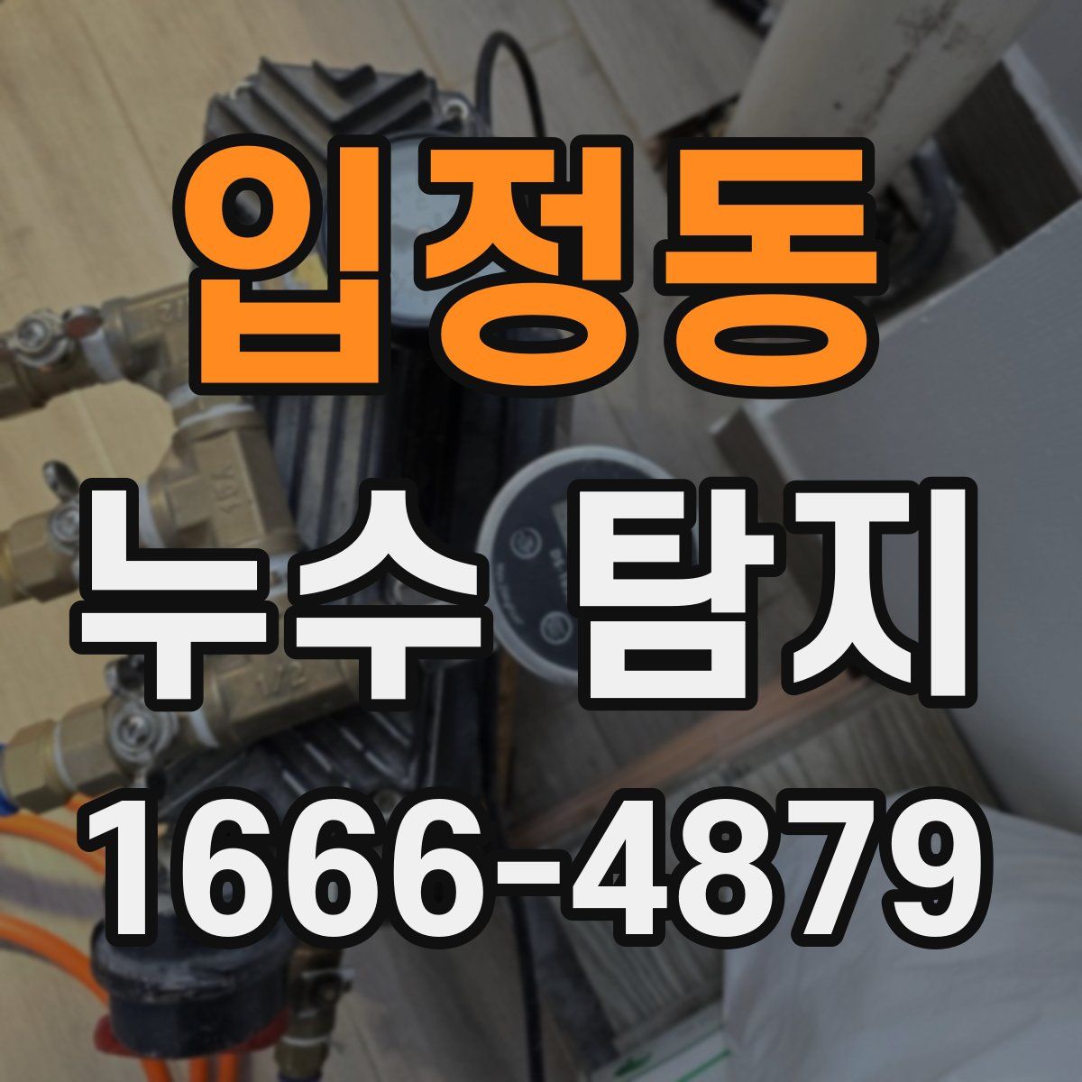 입정동 누수 탐지