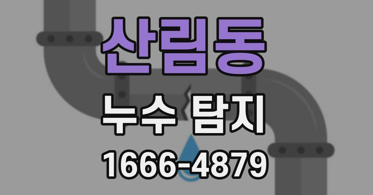 산림동 누수 탐지