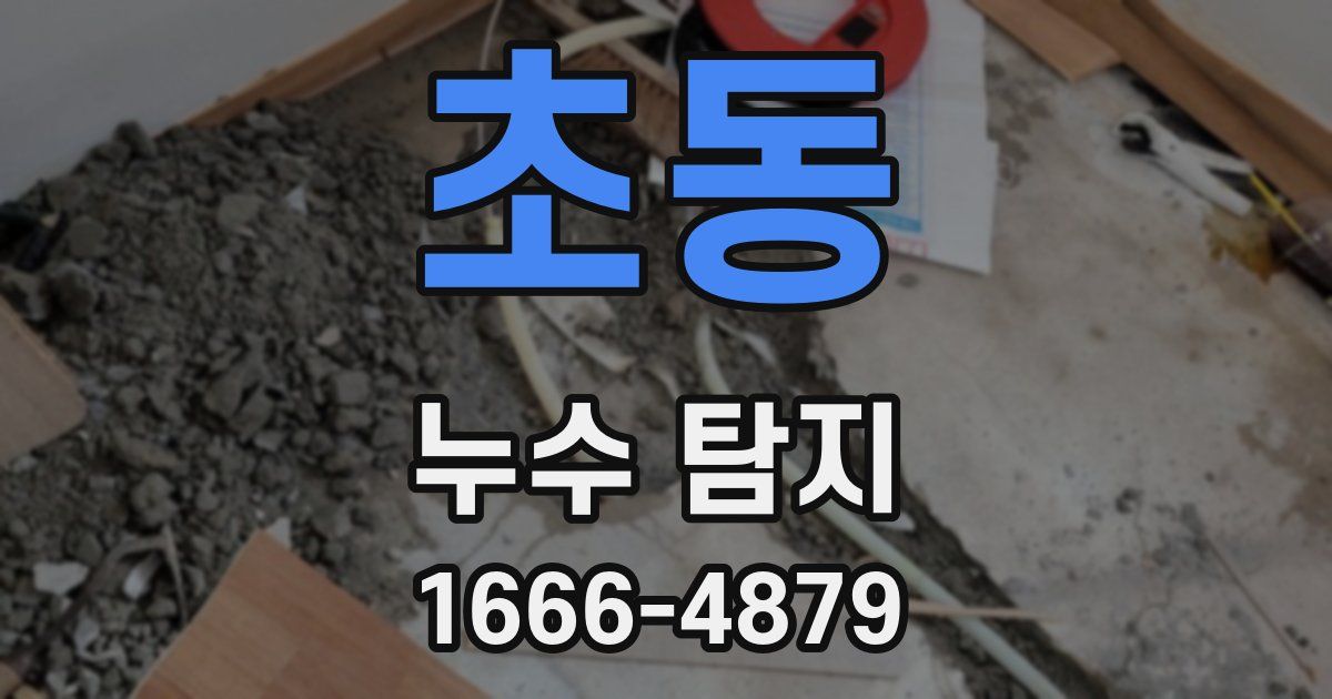 초동 누수 탐지