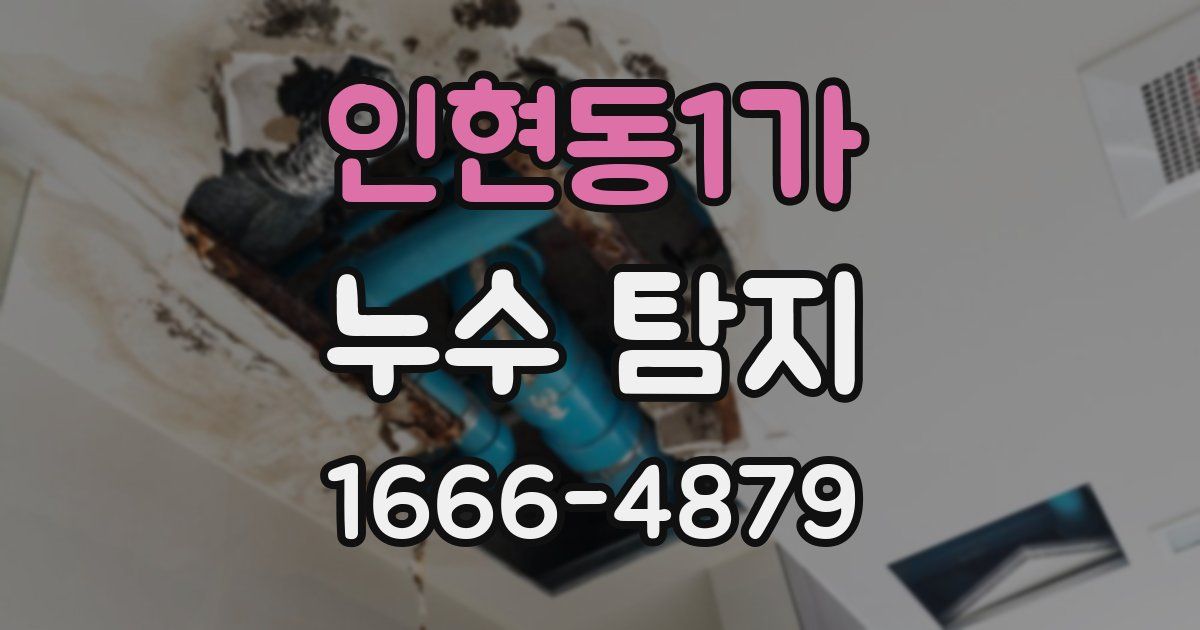 인현동1가 누수 탐지