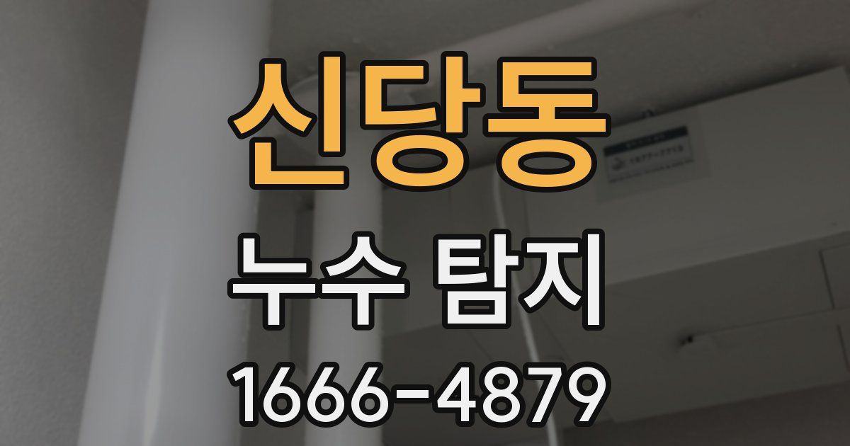 신당동 누수 탐지