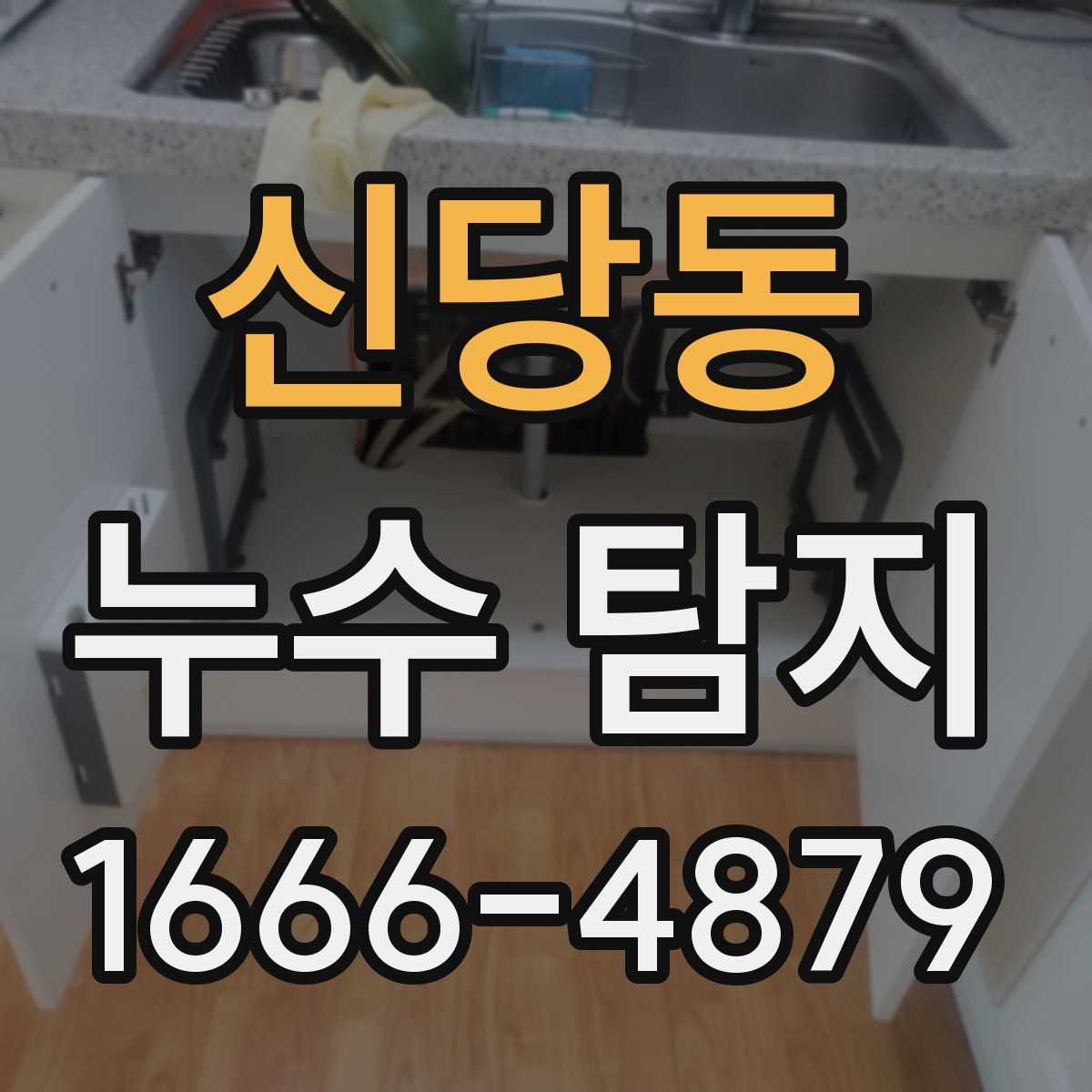 신당동 누수 탐지