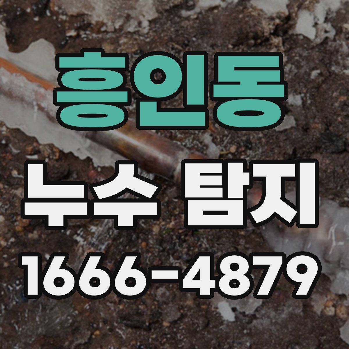 흥인동 누수 탐지