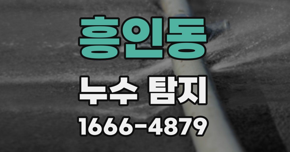 흥인동 누수 탐지