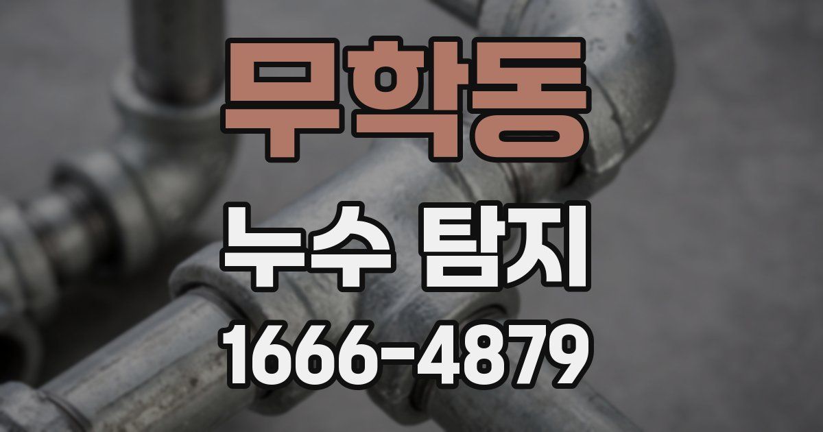 무학동 누수 탐지