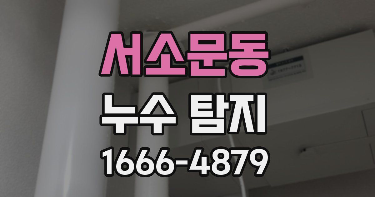 서소문동 누수 탐지