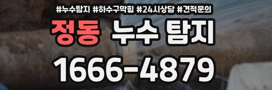정동 누수 탐지