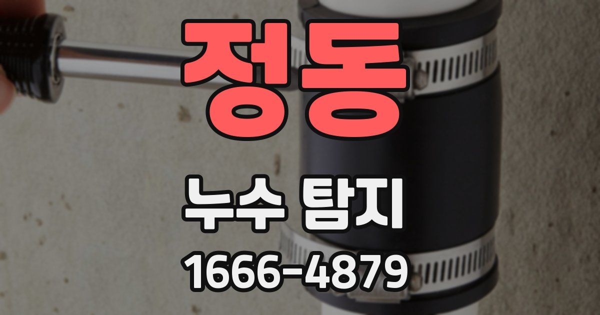 정동 누수 탐지