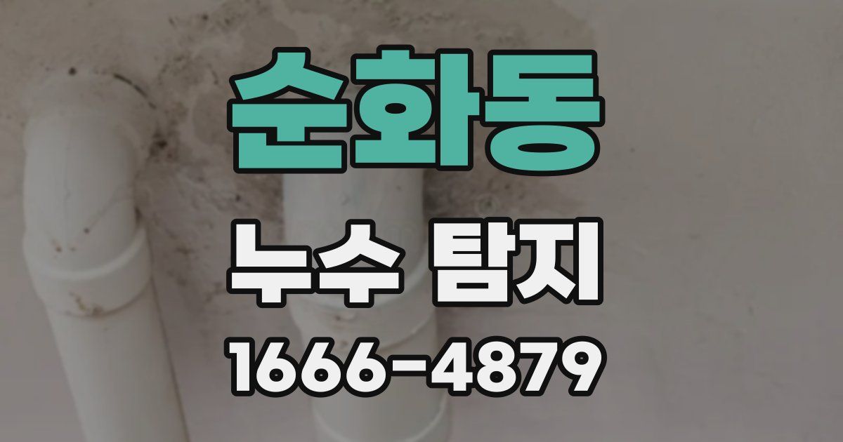 순화동 누수 탐지