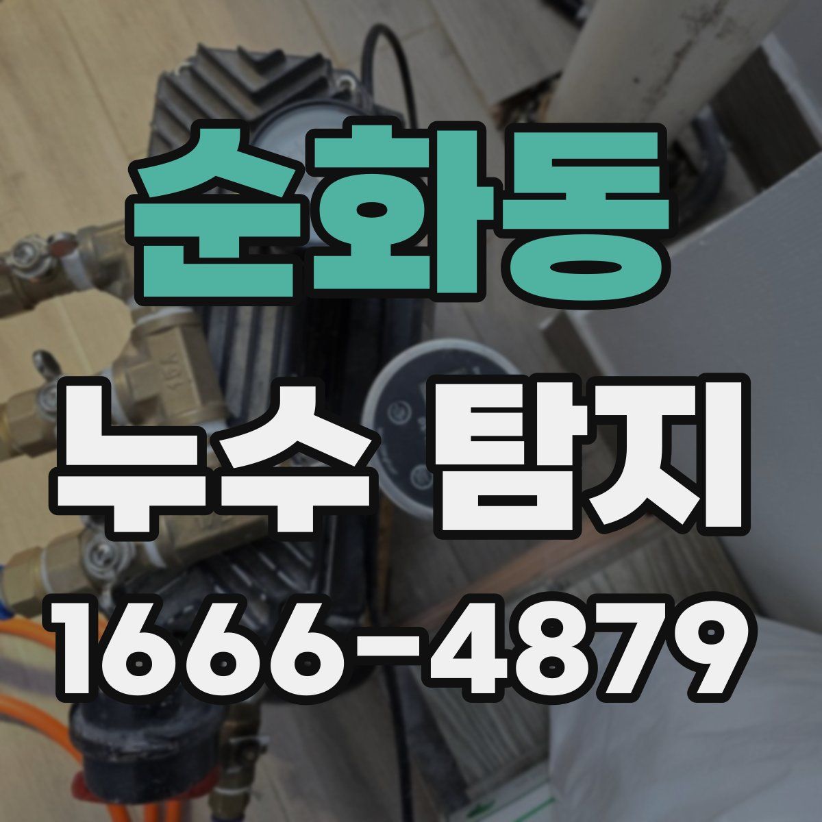 순화동 누수 탐지