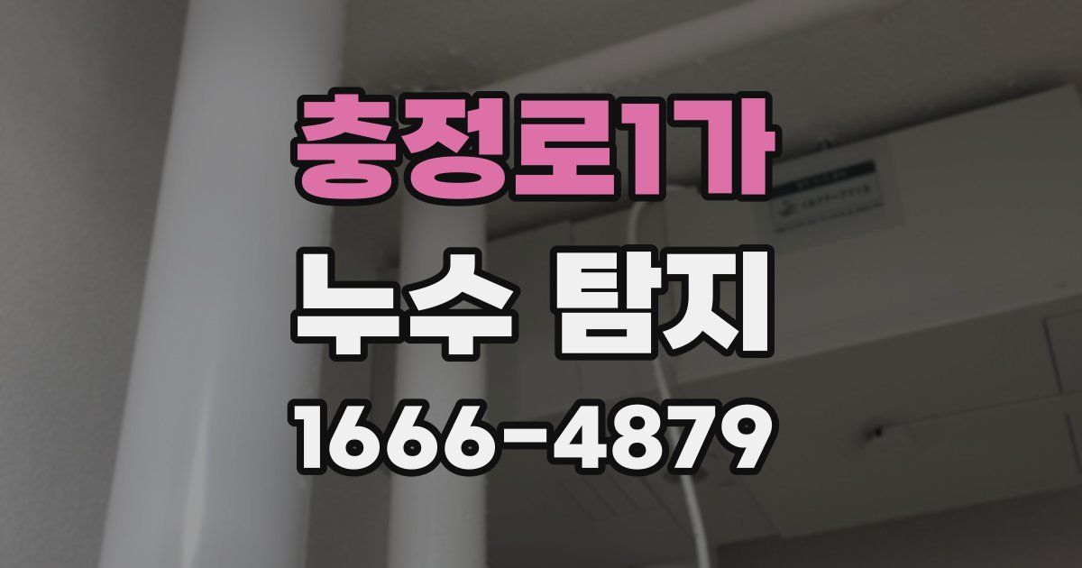 충정로1가 누수 탐지