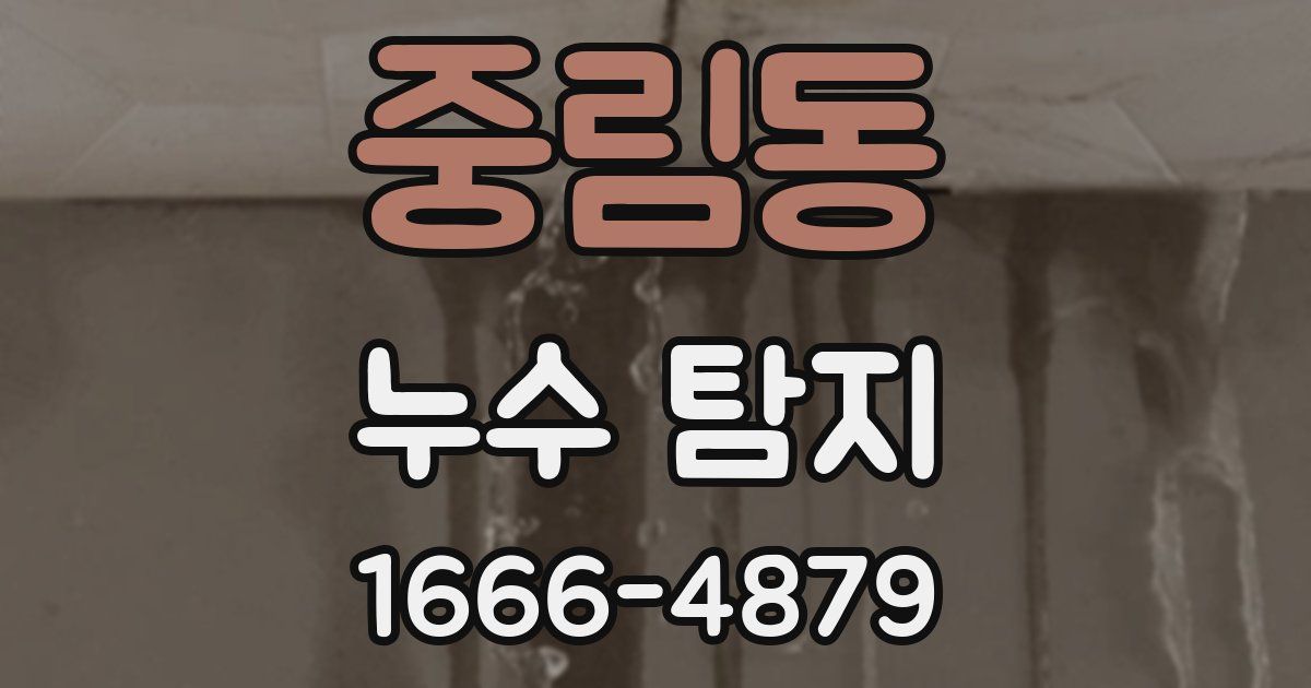 중림동 누수 탐지