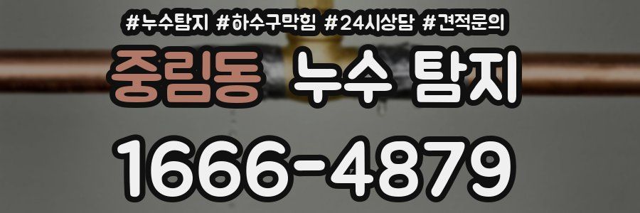중림동 누수 탐지