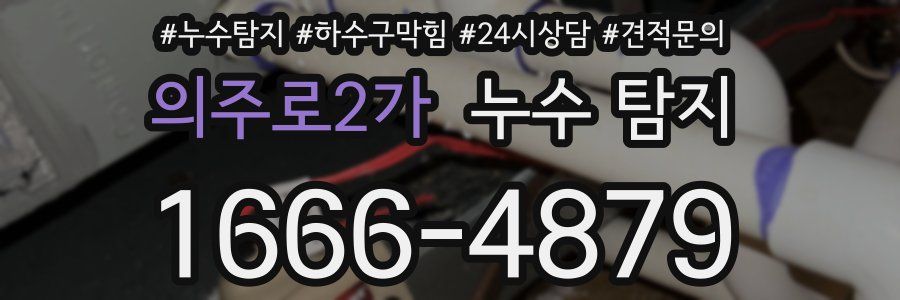 의주로2가 누수 탐지