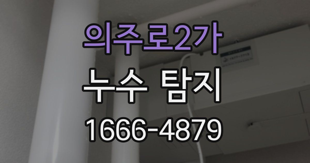 의주로2가 누수 탐지