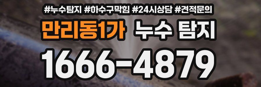 만리동1가 누수 탐지