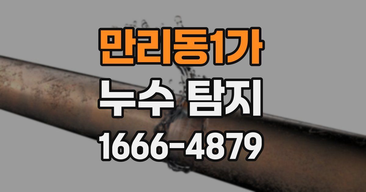 만리동1가 누수 탐지