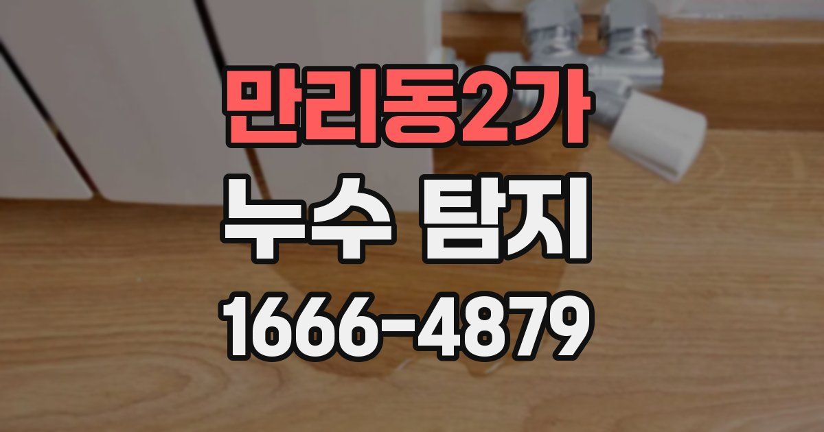 만리동2가 누수 탐지