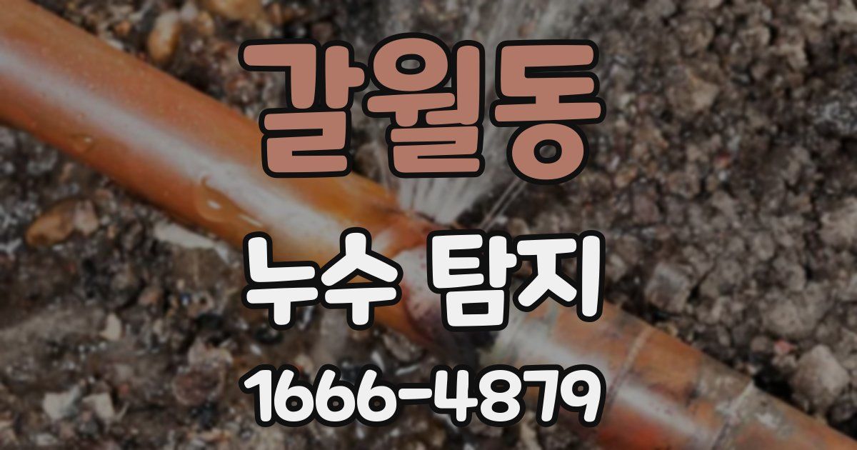 갈월동 누수 탐지