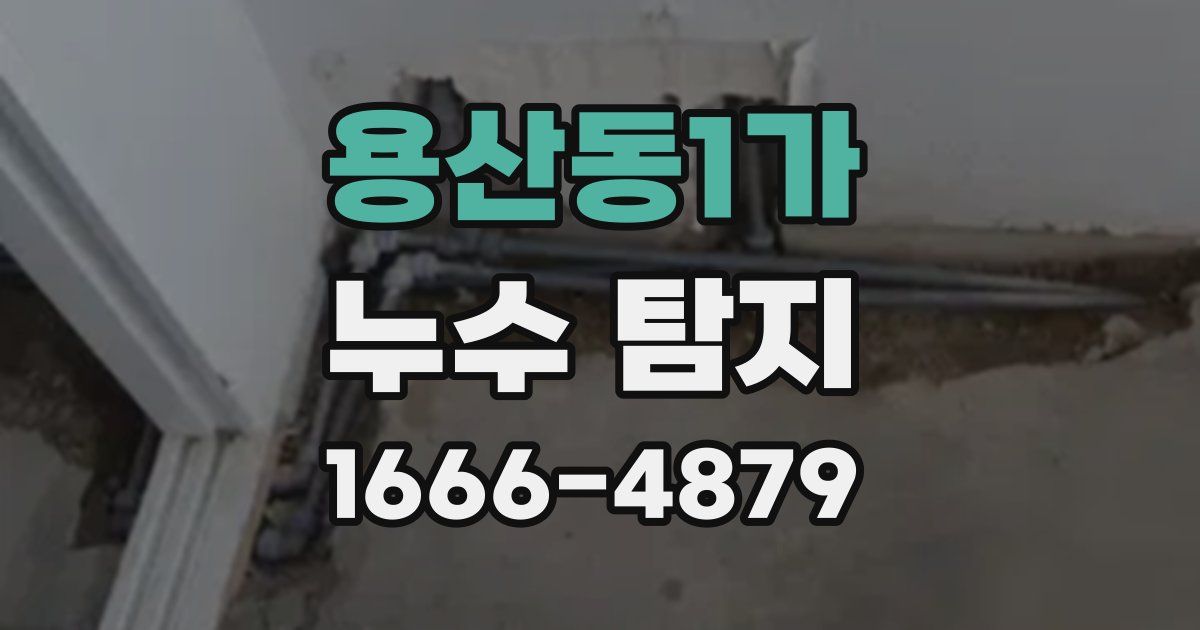 용산동1가 누수 탐지