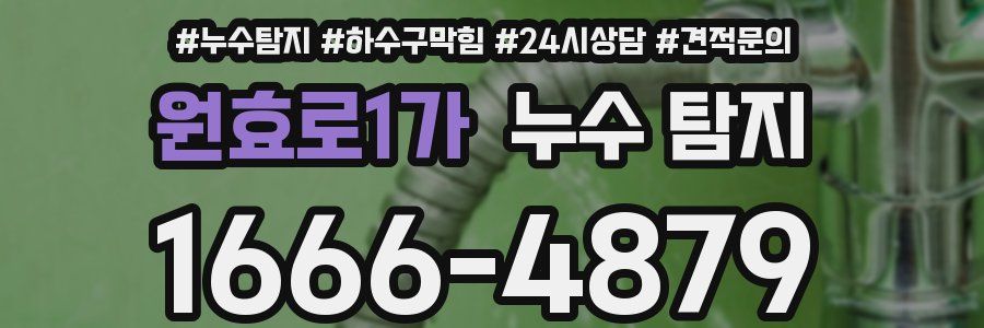 원효로1가 누수 탐지