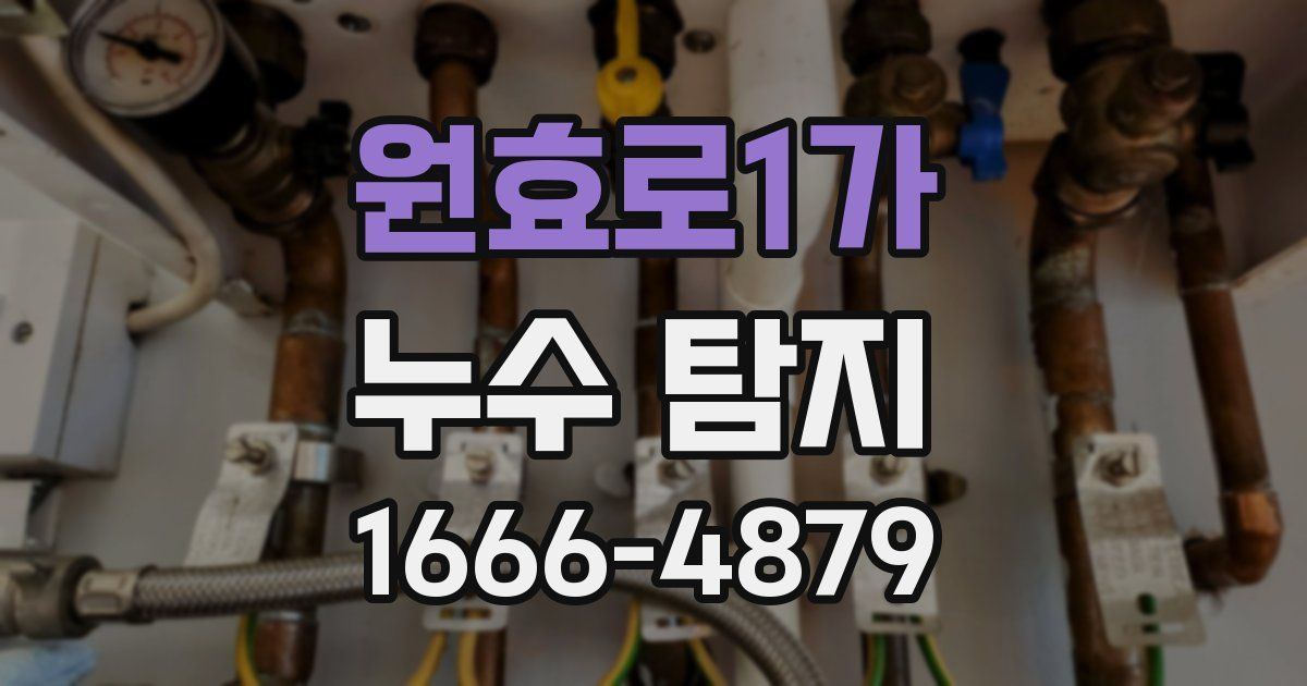원효로1가 누수 탐지